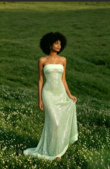 Sexy Elegant Sequin Strapless Fitted Slit Backless Evening Dress