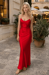 Malika Elegant Maxi Dress