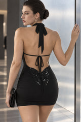 Chic Solid Halter Plunge Backless Bodycon Mini Dress