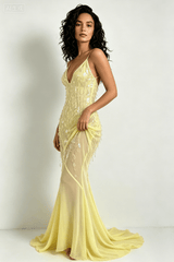 Sequin Mermaid V Neck Maxi Dress