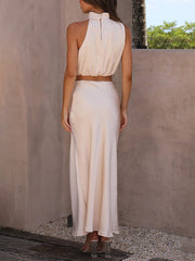 Satin Multi-Color Fitted Casual Skirt Set