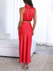 Satin Multi-Color Fitted Casual Skirt Set