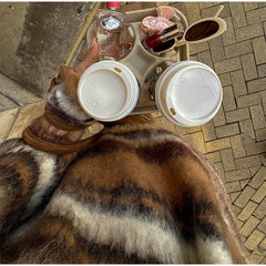 Color Block Striped Knit Sweater