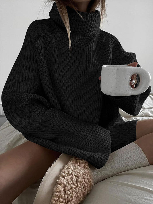 Loose Fit Turtleneck Sweater