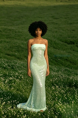 Sexy Elegant Sequin Strapless Fitted Slit Backless Evening Dress