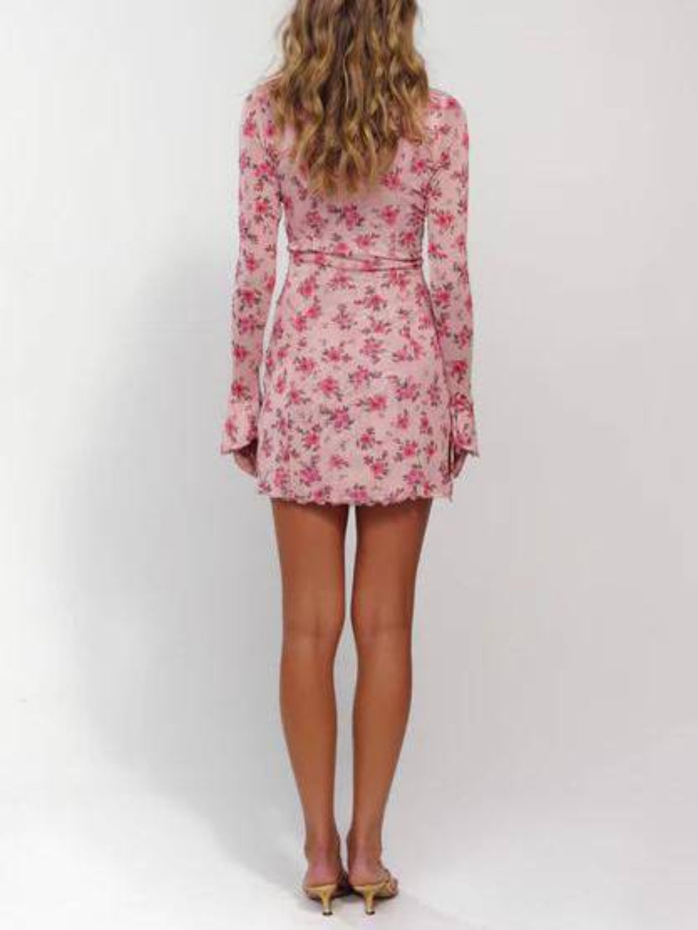 Floral Print Mesh Mini Dress