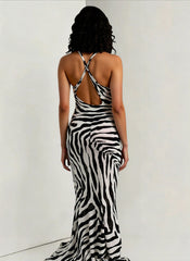 Sheer Zebra Print Tie Waist Maxi Dress