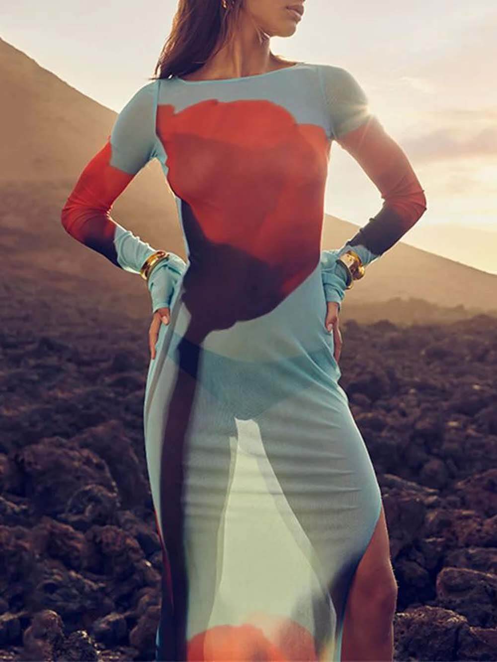 Fashion Mesh Sexy Fitted Dress