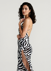 Sheer Zebra Print Tie Waist Maxi Dress