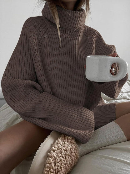 Loose Fit Turtleneck Sweater