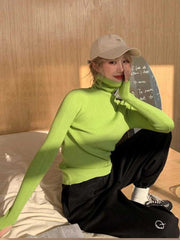 Turtleneck Solid Knit Sweater