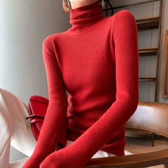 Turtleneck Slim Knit Sweater