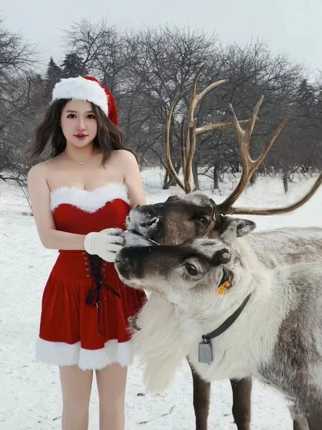 Santa Claus Christmas Cosplay Outfit