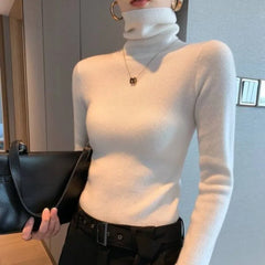Turtleneck Slim Knit Sweater