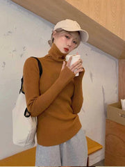 Turtleneck Solid Knit Sweater