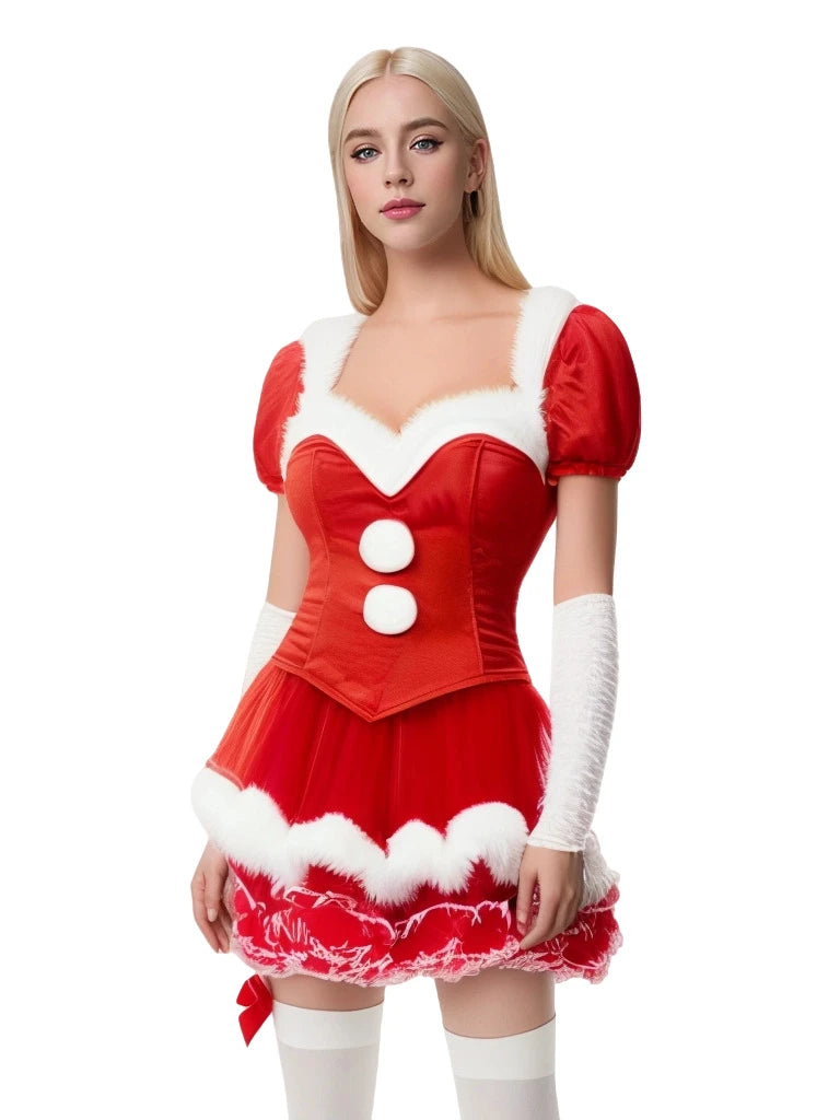 Mrs Claus Christmas Costume Dress