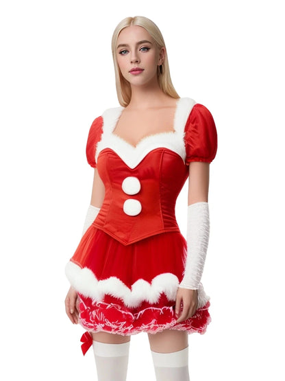 Mrs Claus Christmas Costume Dress