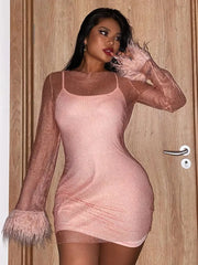 Mesh Feather Fringe Mini Dress